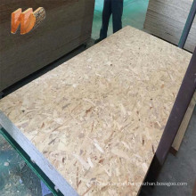 1220x2440mm construction OSB for building